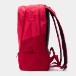 ზურგჩანთა - Image 4